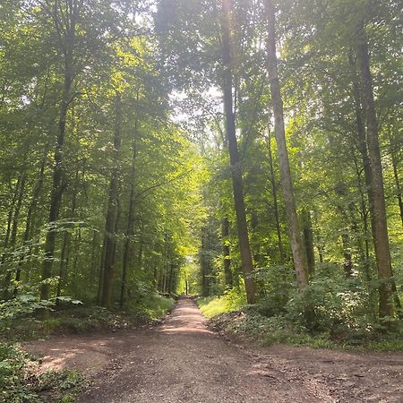바덴바덴 Sonnenschein 아파트 외부 사진
